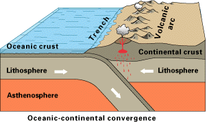 oceanic and continental tectonic plates