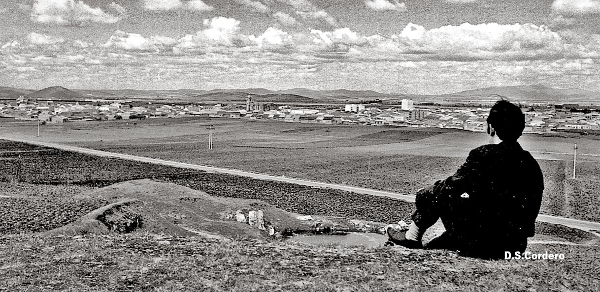 CACHOS DE VIDA DESDE EL GUIJO