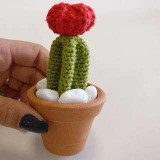 PATRON CACTUS AMIGURUMI 27857