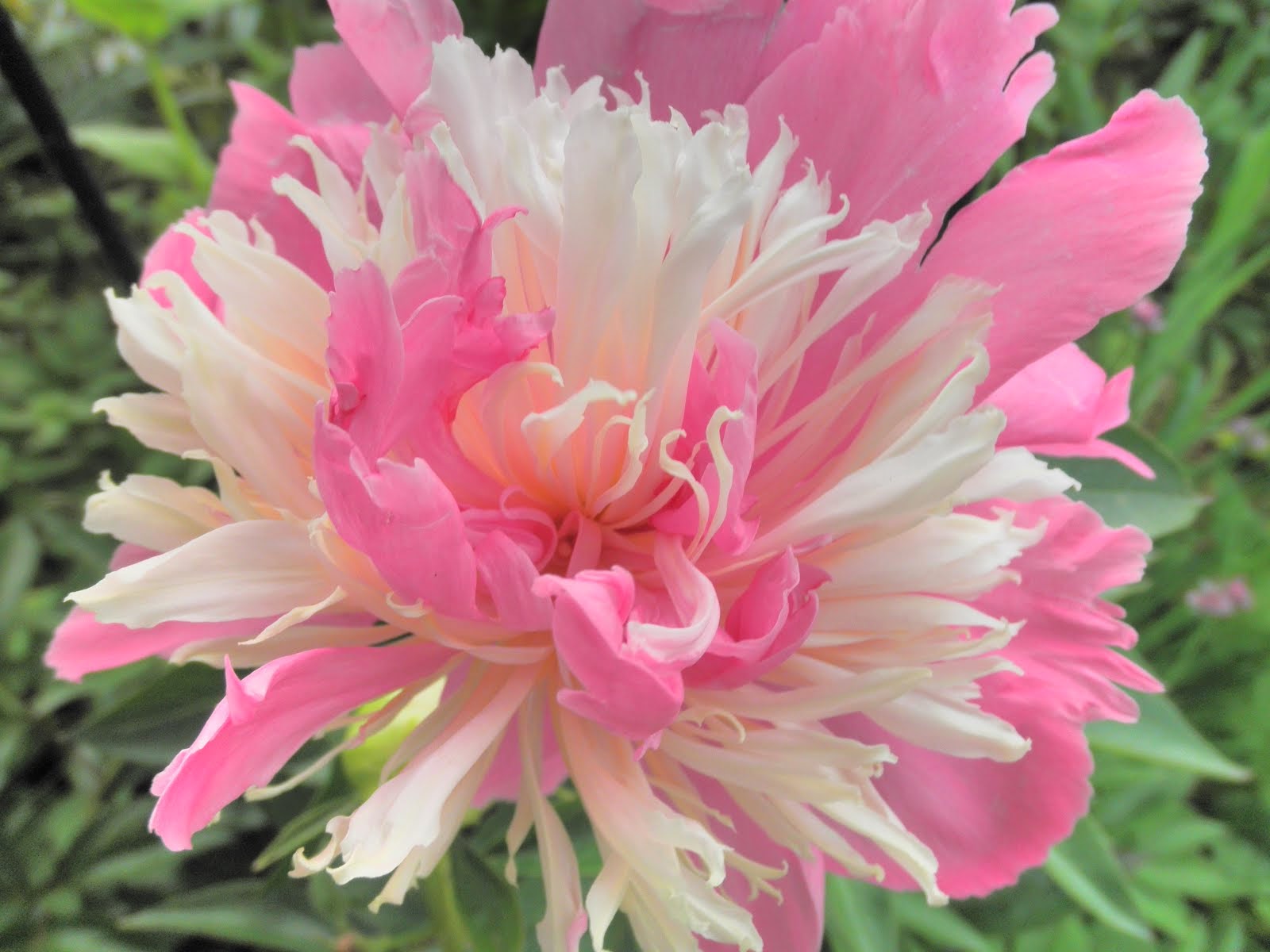 Follow Me Then Fly Body and Life Management for Women