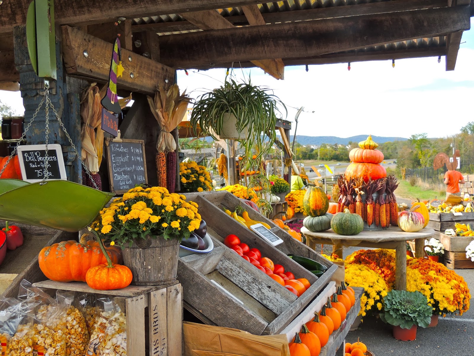Serve Our Willing Warriors: A Taste of Autumn ~ Burnside Farms of ...