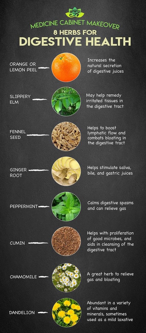 Improve Digestive Health With These 8 Herbs Health