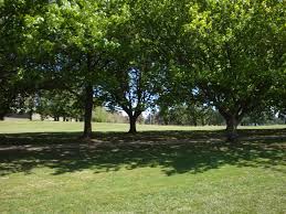 Komponen Biotik Dan Abiotik Dalam Ekosistem