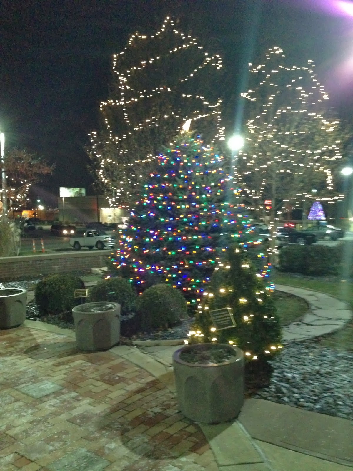My Girls St. Charles Christmas Tree Lighting