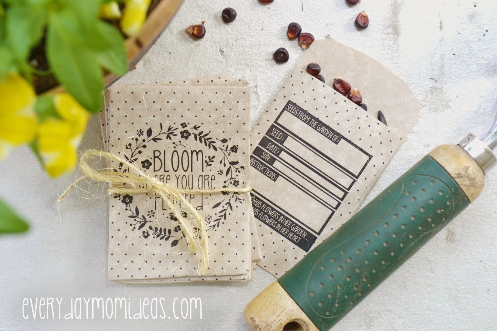 Simply Resourceful: Homemade Seed Packets