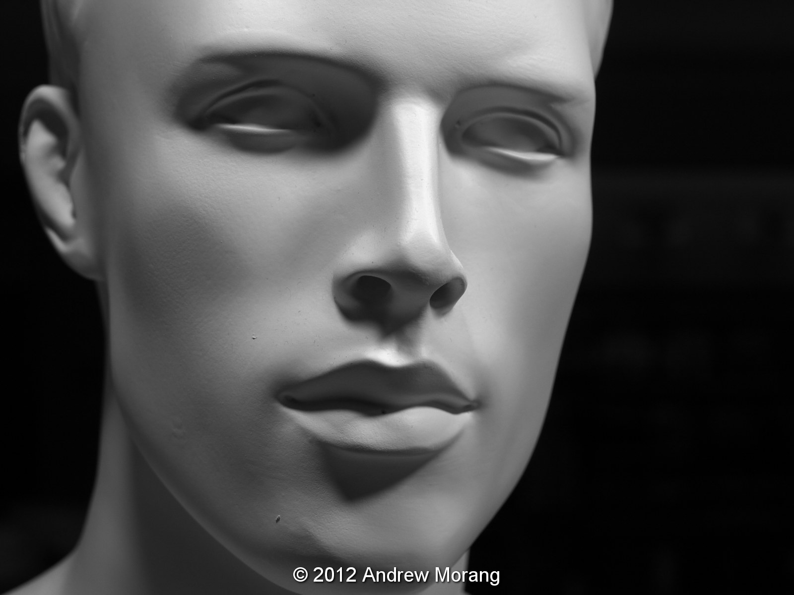 Urban Decay Urban nondecay Portland, Oregon