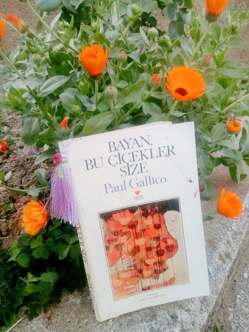 Bayan Bu Çiçekler Size - Paul Gallico - Kitap Yorumu