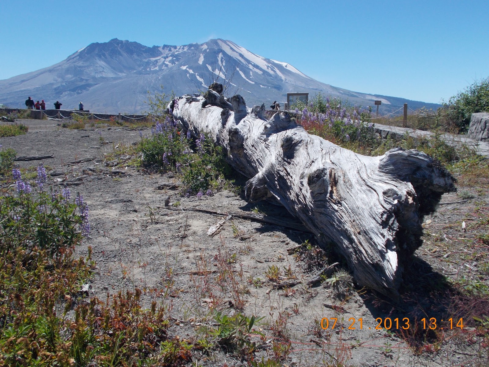 Jones Travels Salem Or To Enumclaw Wa Mt St Helens