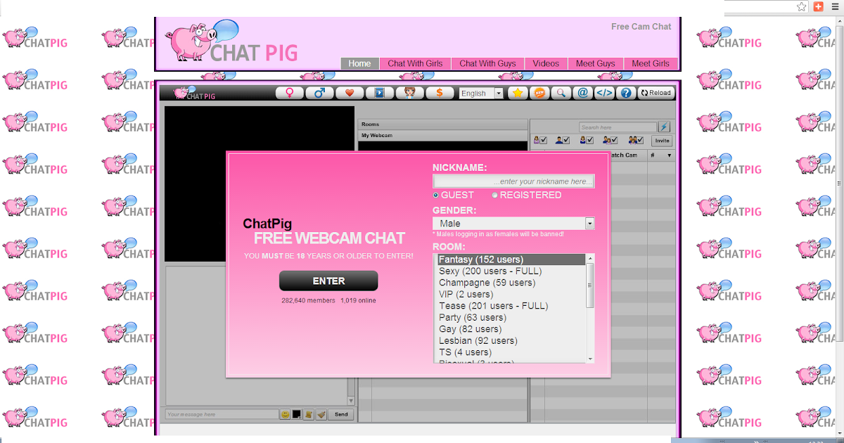 Chatpig.com Chatpig.com