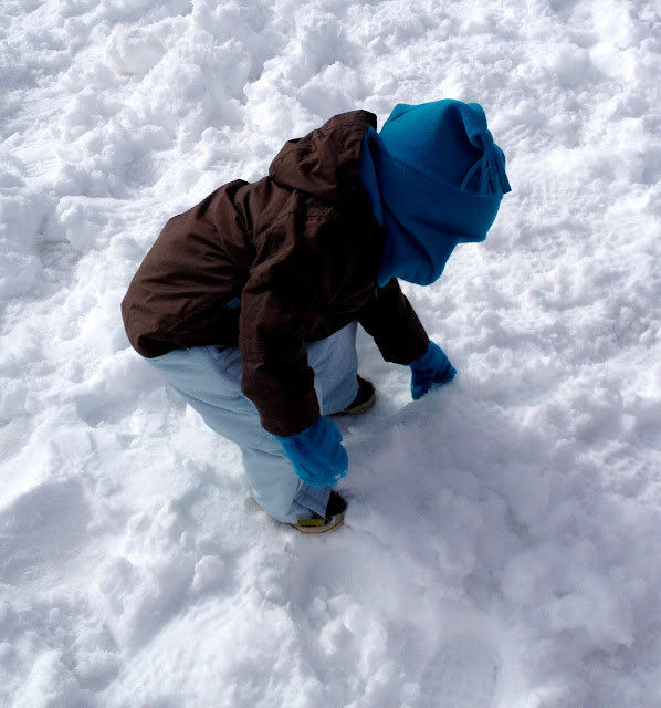 Descubriendo la nieve Descubriendo la nieve