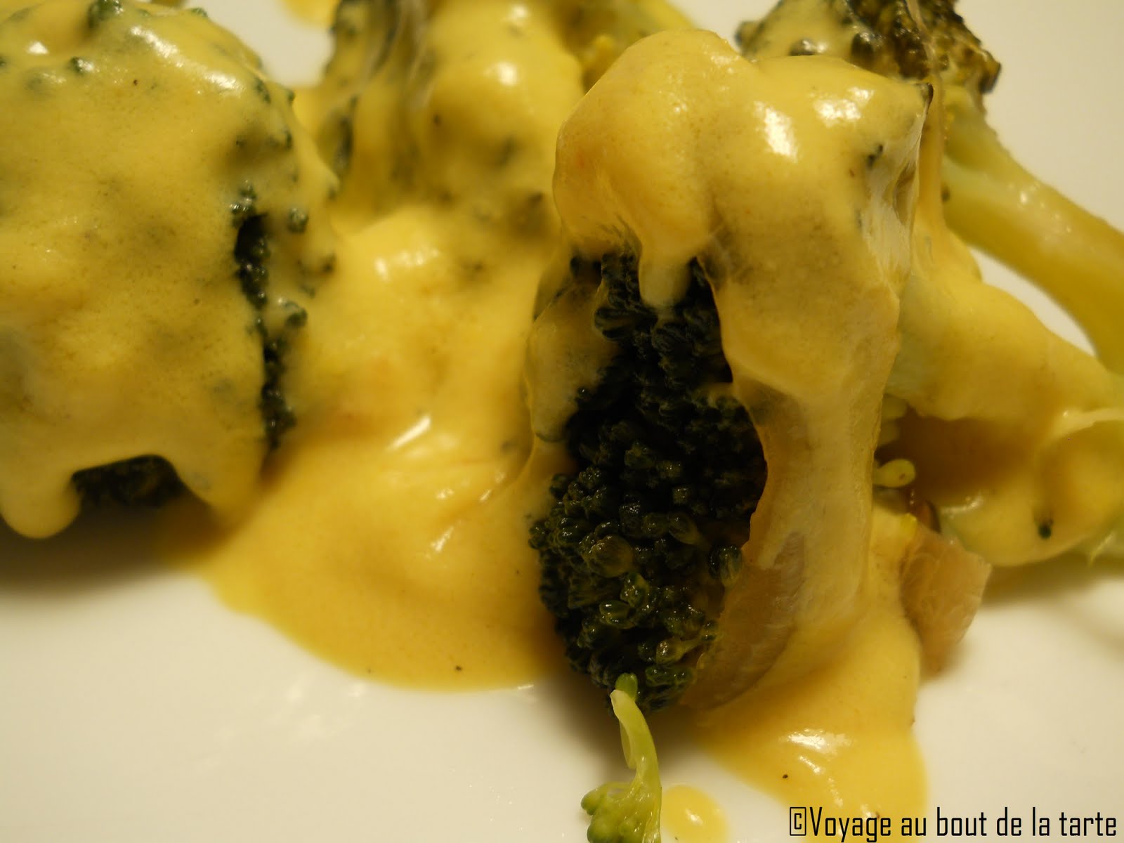 Voyage au bout de la tarte: Sauce au fromage sans fromage