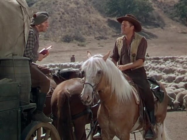 Montana (Ray Enright & Raoul Walsh, 1950) Western
