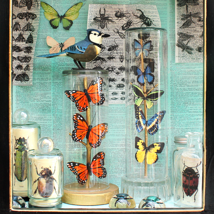 Mark Montano Butterflies Under Glass