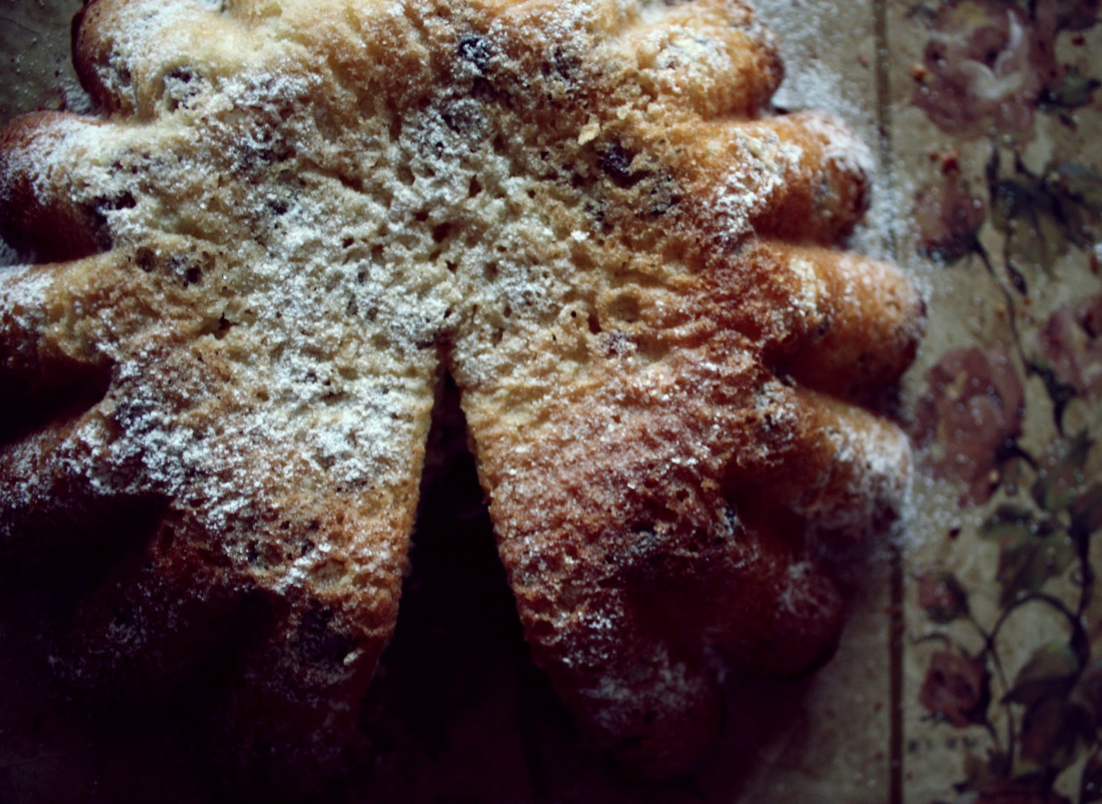 Babka drożdżowa Magdy Gessler