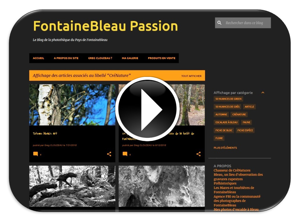 FontaineBleau Passion
