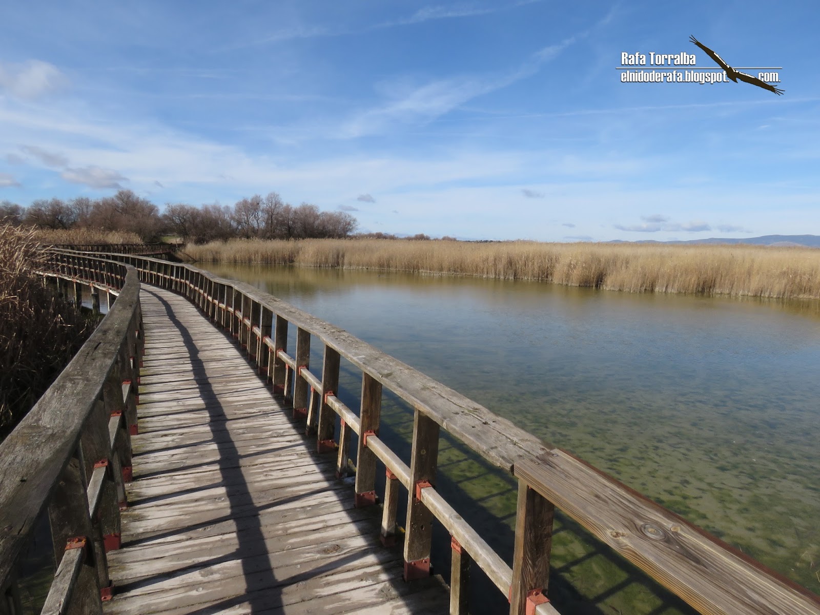 El Nido de Rafa La Mancha Húmeda