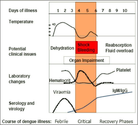 ER goldbook Dengue hemorrhagic fever ER goldbook Dengue hemorrhagic fever