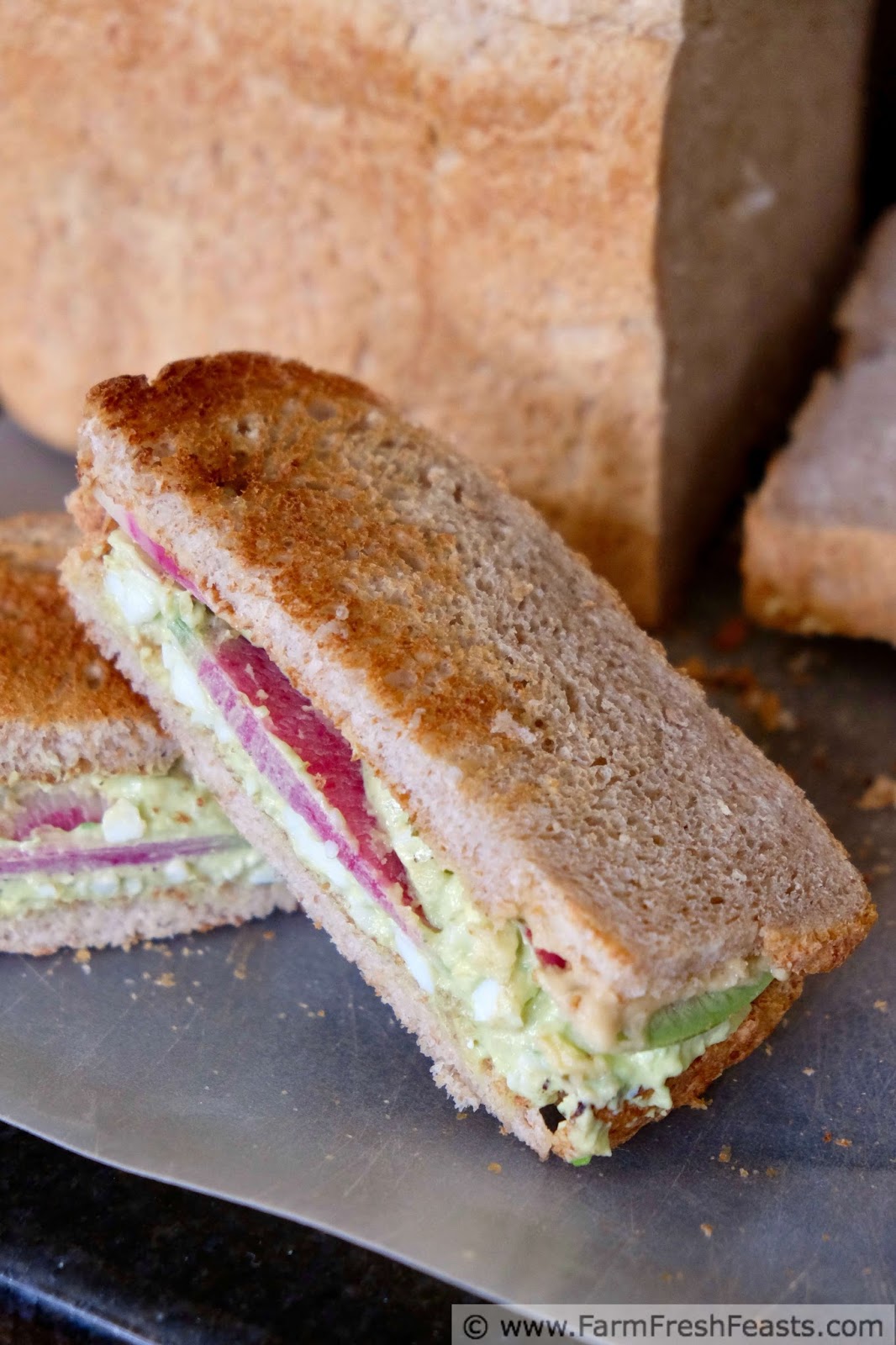 Farm Fresh Feasts Avocado Egg Salad Sandwich with Hummus and