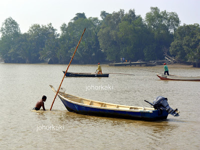 Oyster Divers in Muar, Johor Oyster-Muar-Johor