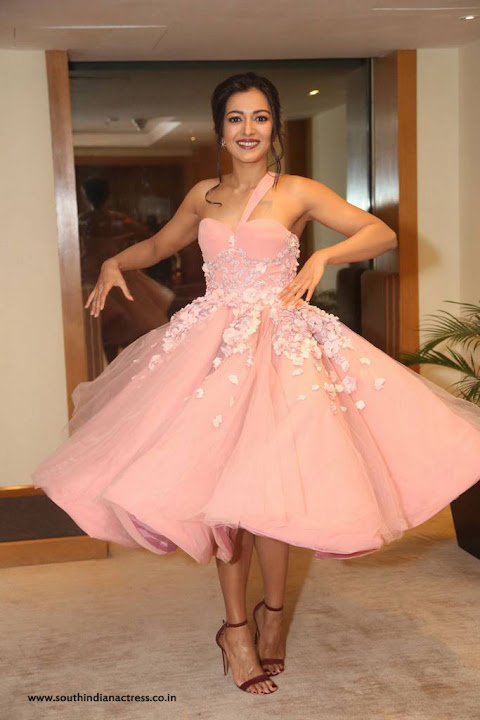 Catherine Tresa Stills At 64th Filmfare Awards 2017