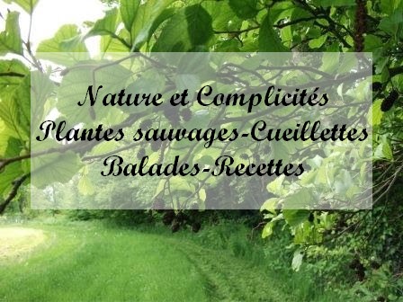 Nature et complicités