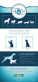 What to do if your pet was dehydrated. INFOGRAPHIC