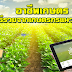 อาชีพเกษตรกับ 4 วิธีรวยจากเกษตรกรแนวใหม่