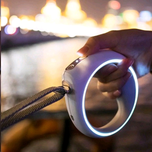 PETKIT GO Smart Pet Leash Review Australian Dog Lover