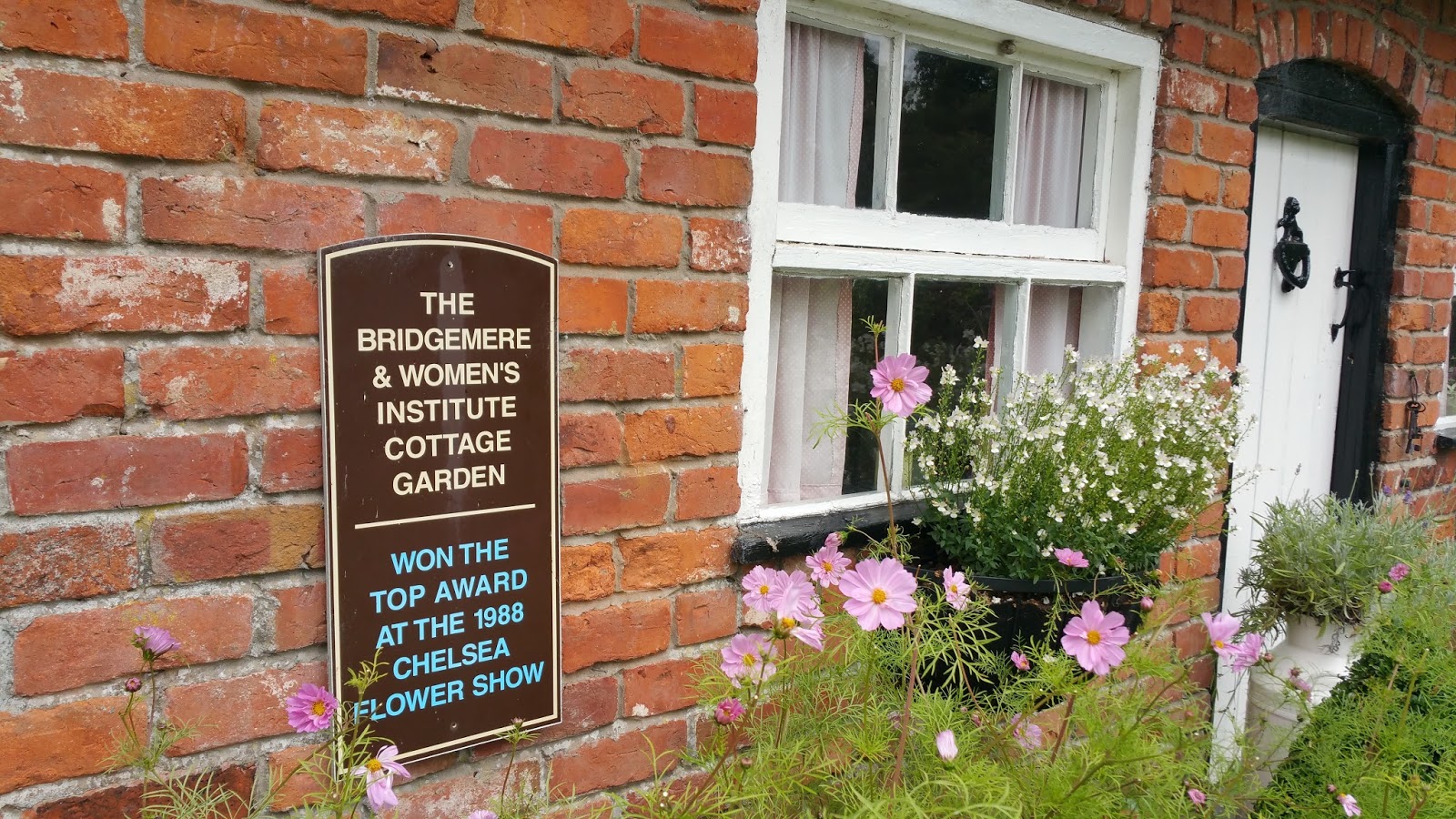 Bridgemere Garden Centre Nantwich Cheshire Paws across Britain