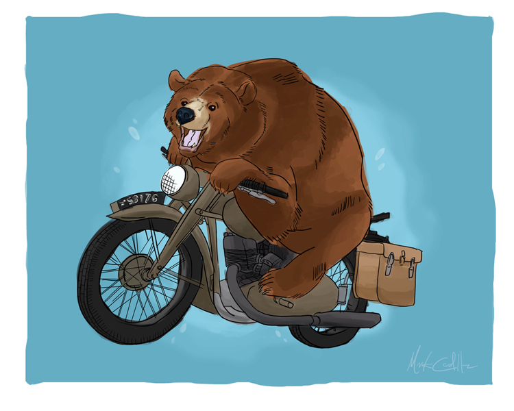 bear on a motorcycle