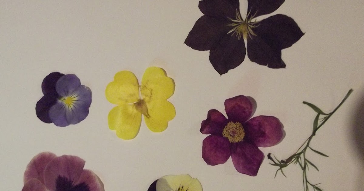 In The Garden Microwave Flower Press