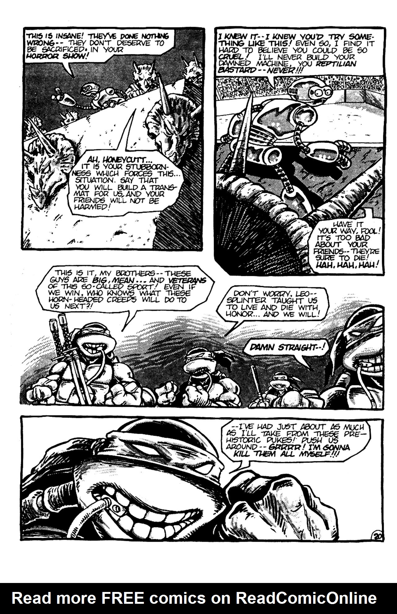 Teenage Mutant Ninja Turtles (1984) Issue #6 #6 - English 22