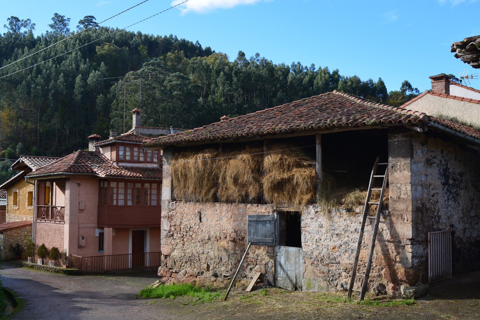 Pueblastur PRAS 136. Ruta La Riera. Colunga.
