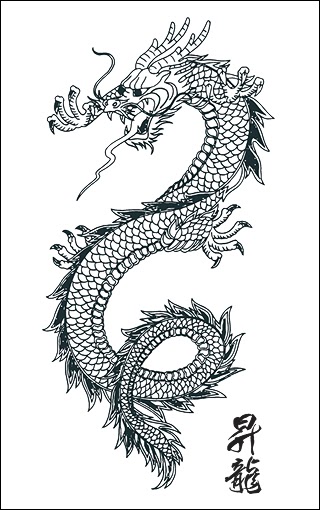 Dragon Tattoo Stencilseveryting under one roof