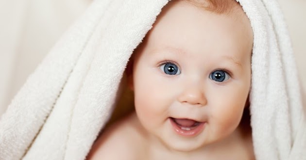 Struktur Organisasi Fpi