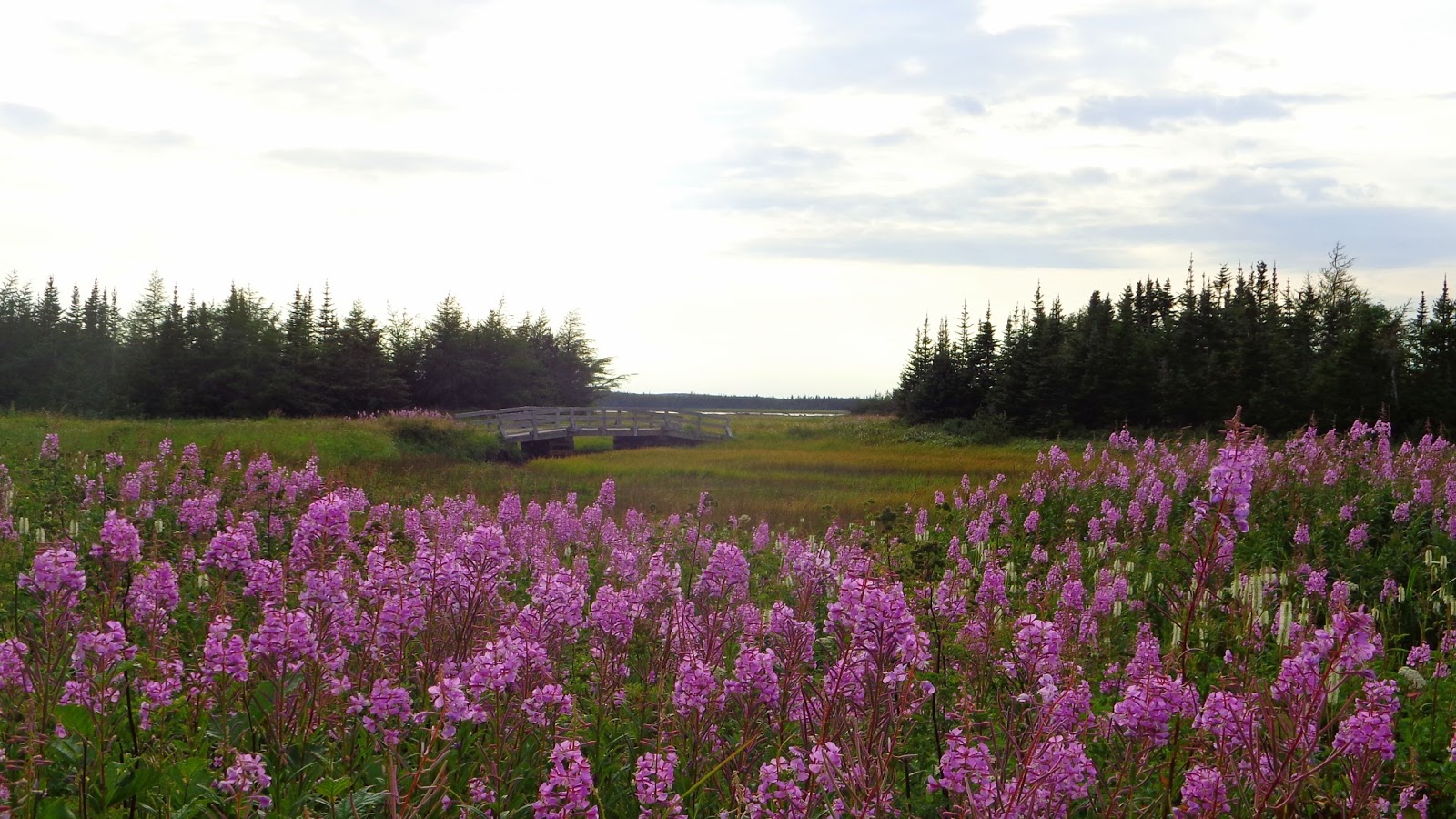 Interférences De TroisRivières à TêteàlaBaleine