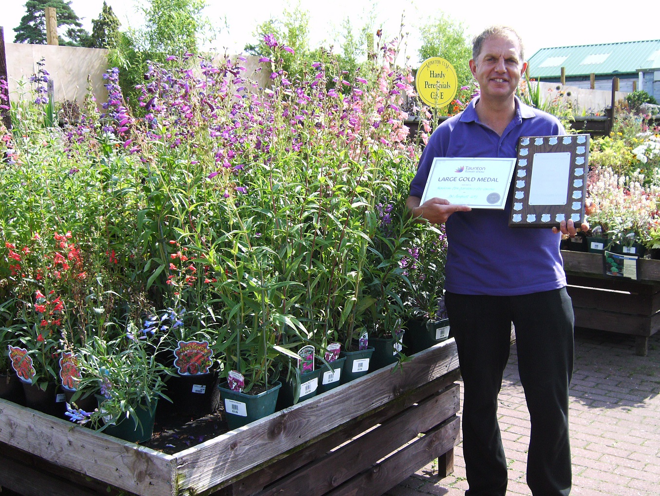 Taunton Flower Show secrets for success