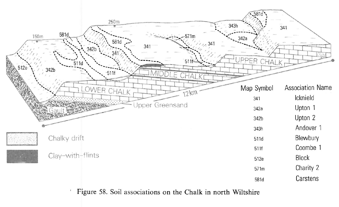 Loess Ground Loess in Britain III Chalk Heath Soils