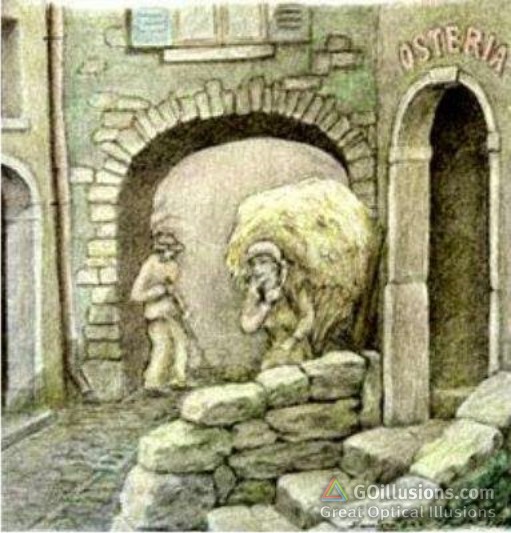 Great Optical Illusions, Funny Photos and Images, Brain Teasers, Puzzles Old Man Face illusn