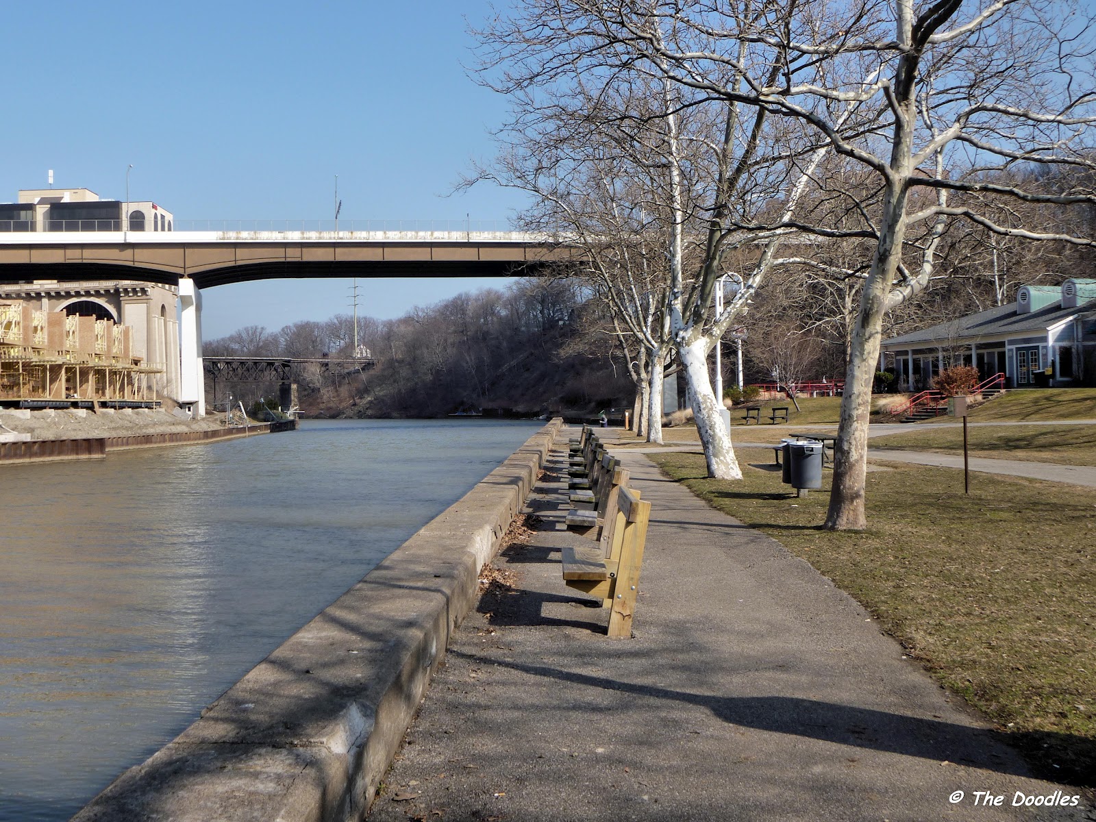 Birds from Behind More Rocky Shots From Rocky River...