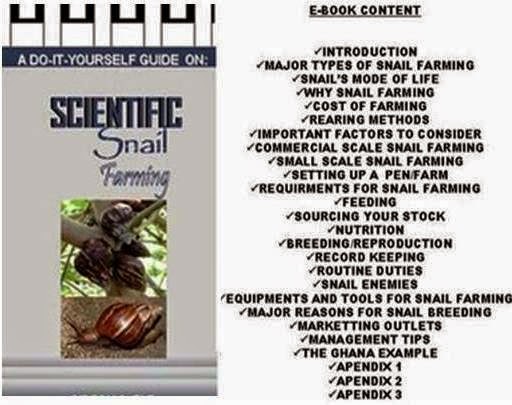 Practical Heliculture (Snail Farming) Business Guide