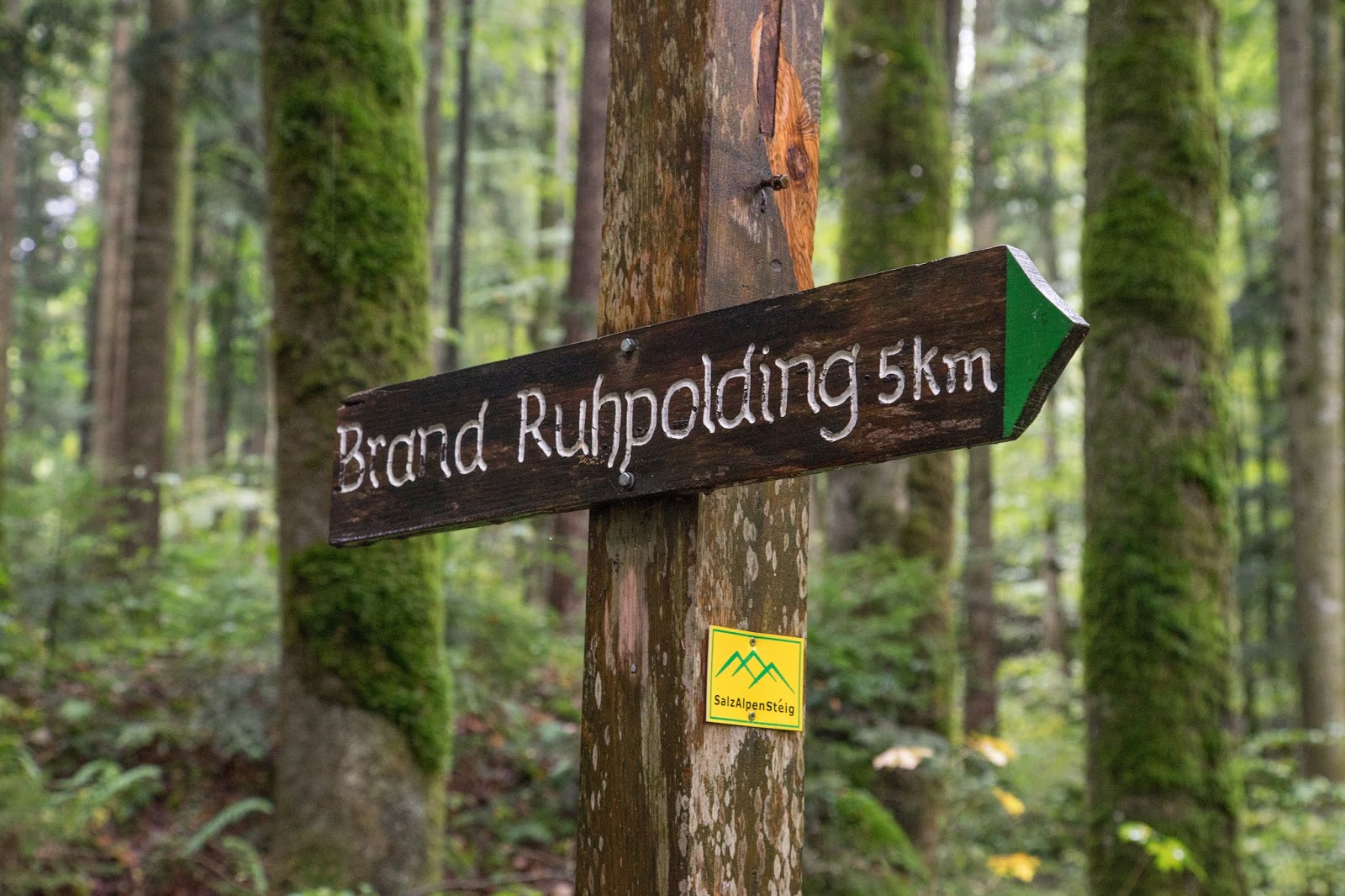 Familienwanderung In Ruhpolding Marchenwald Und Freizeitpark