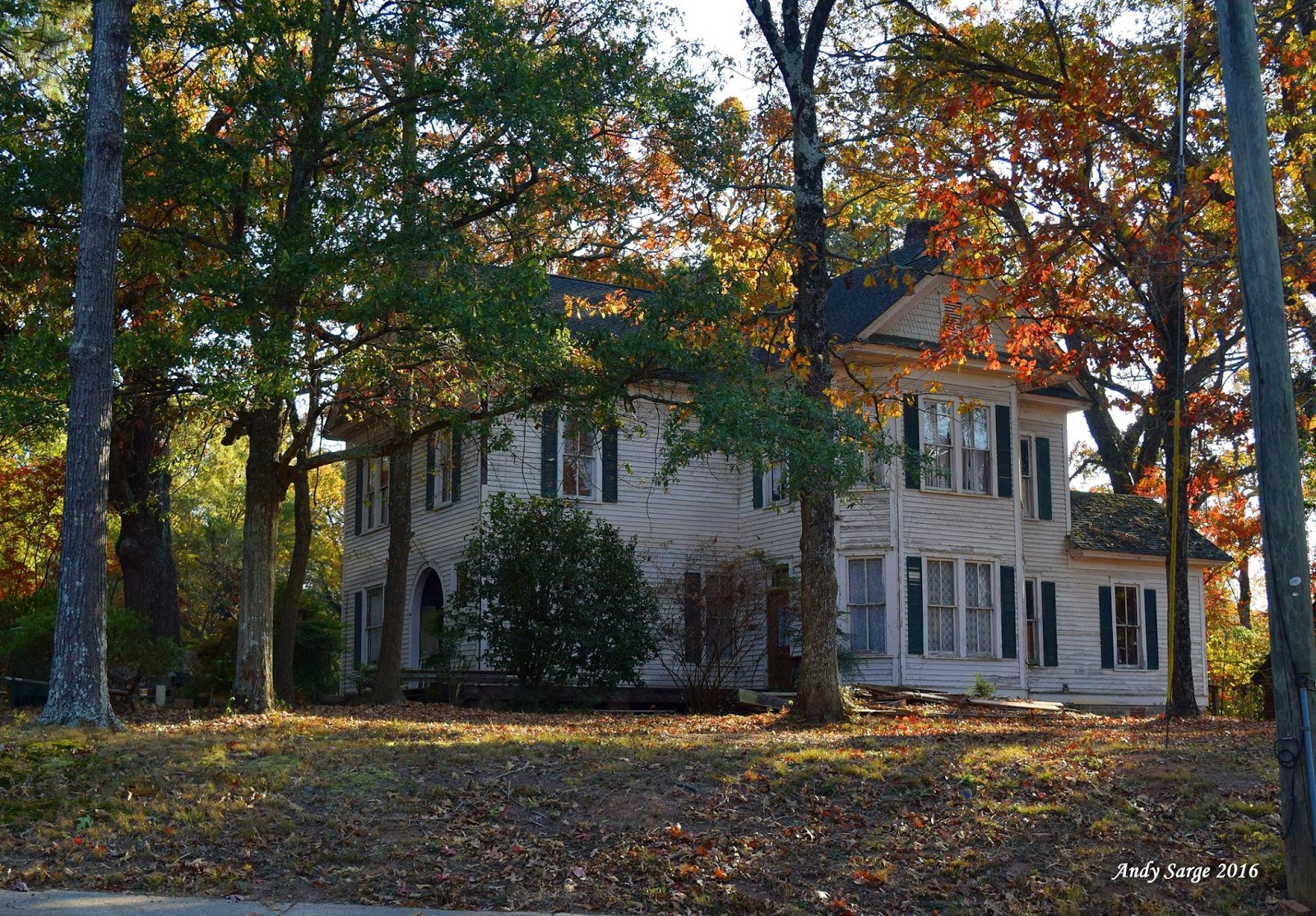 Old Victorian in Lavonia