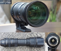 lensa sigma dg 50-500mm lensa sigma dg 50-500mm