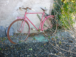 The old red bicycle