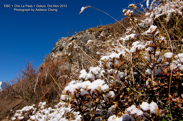 Snow at Pangboche Snow at Pangboche