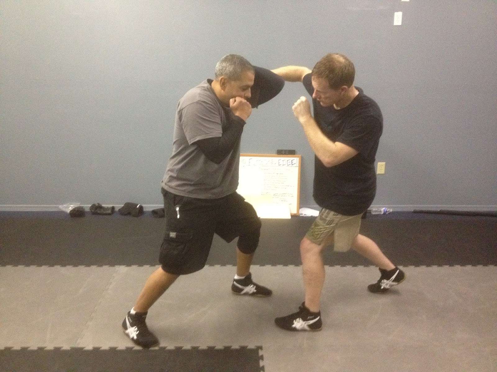 Functional Edge System January 2012