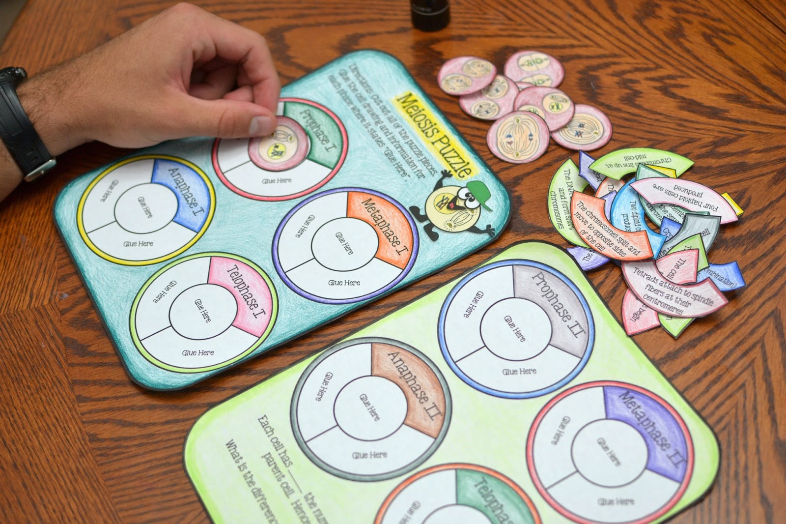 science interactive notebook cells math in demand mitosis vs meiosis venn diagram