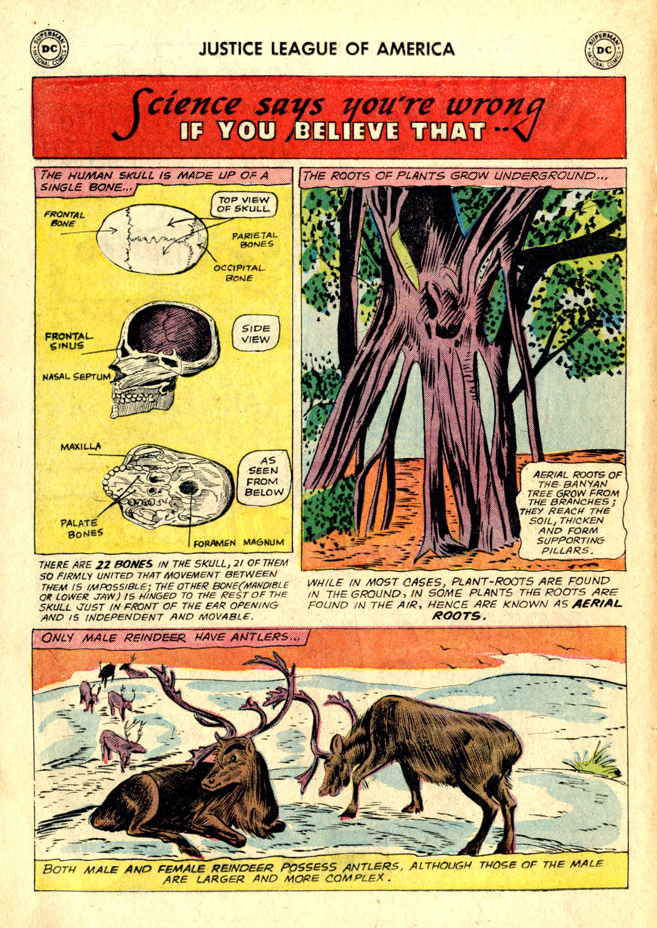 Justice League of America (1960) 10 Page 11