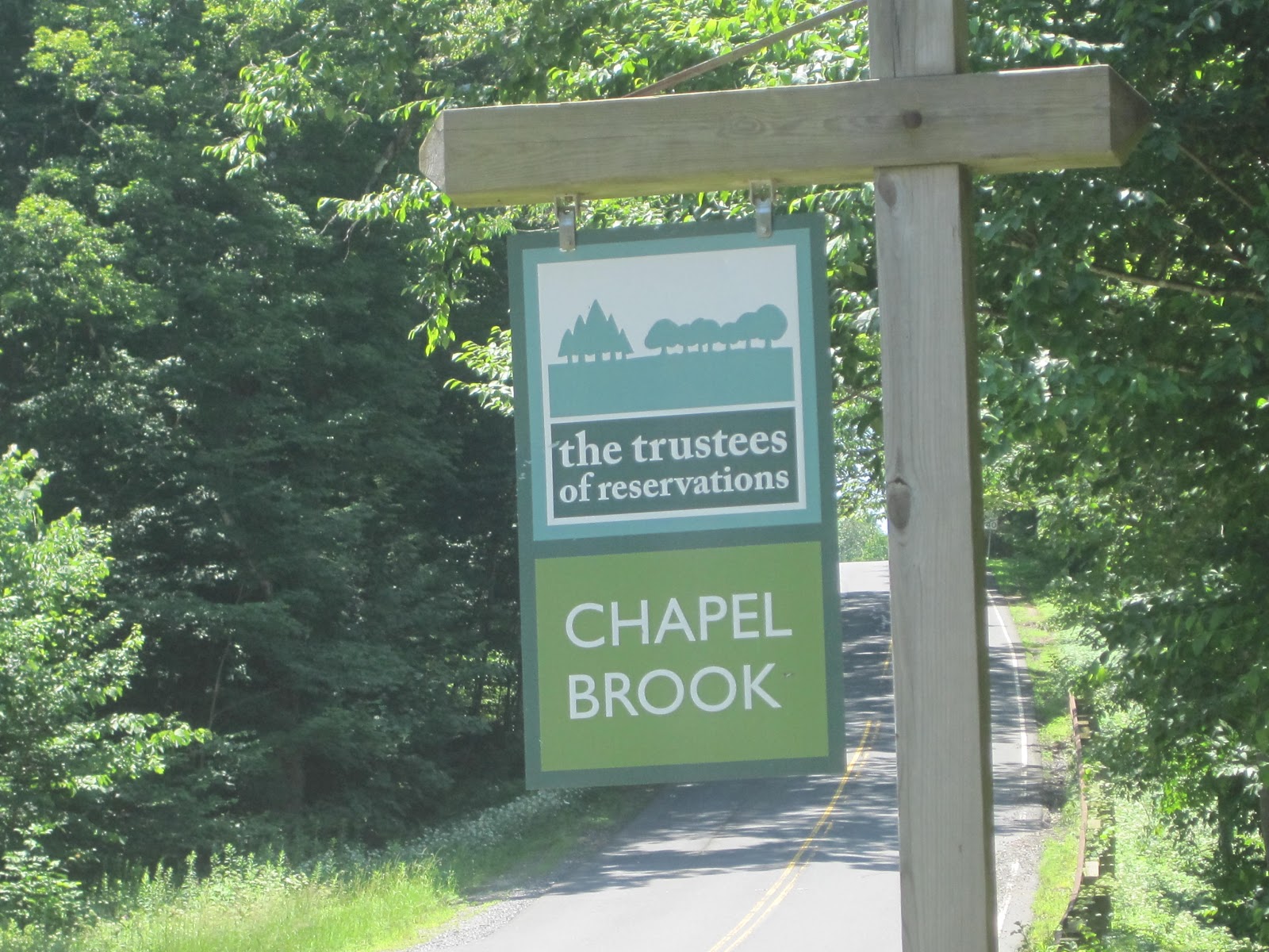 Mt.Tom Billy Goat 2 Chapel Brook Reservation Ashfield Ma. Ashfield